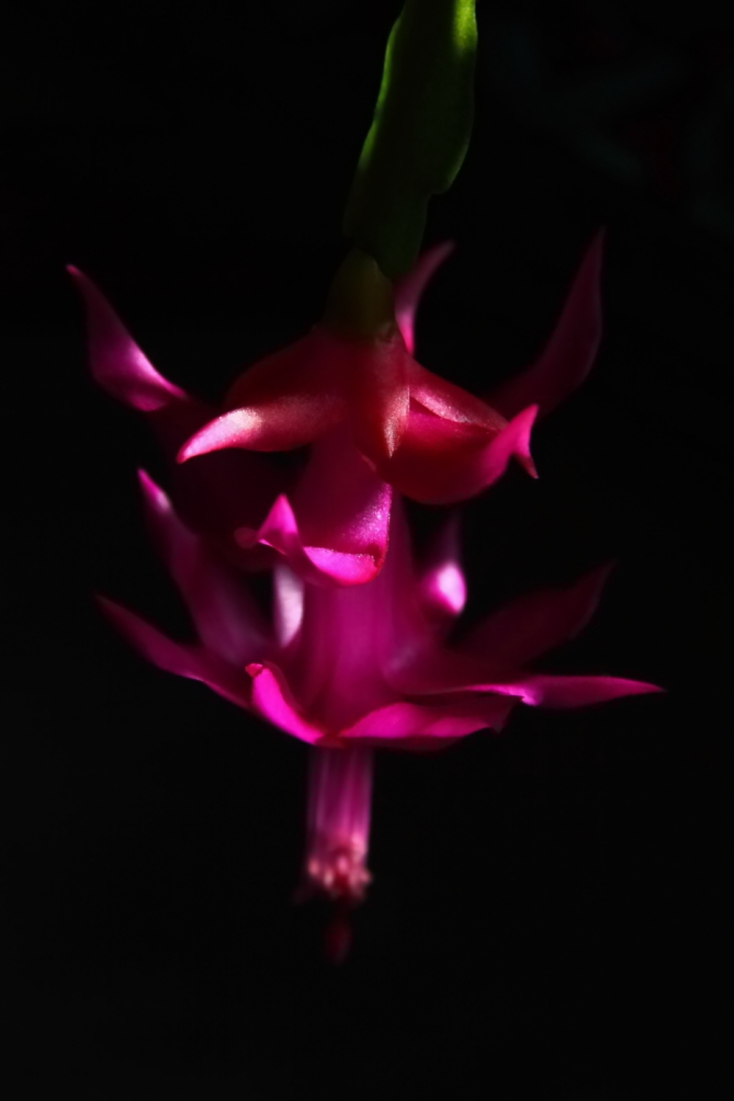 2012 02 10 6429e